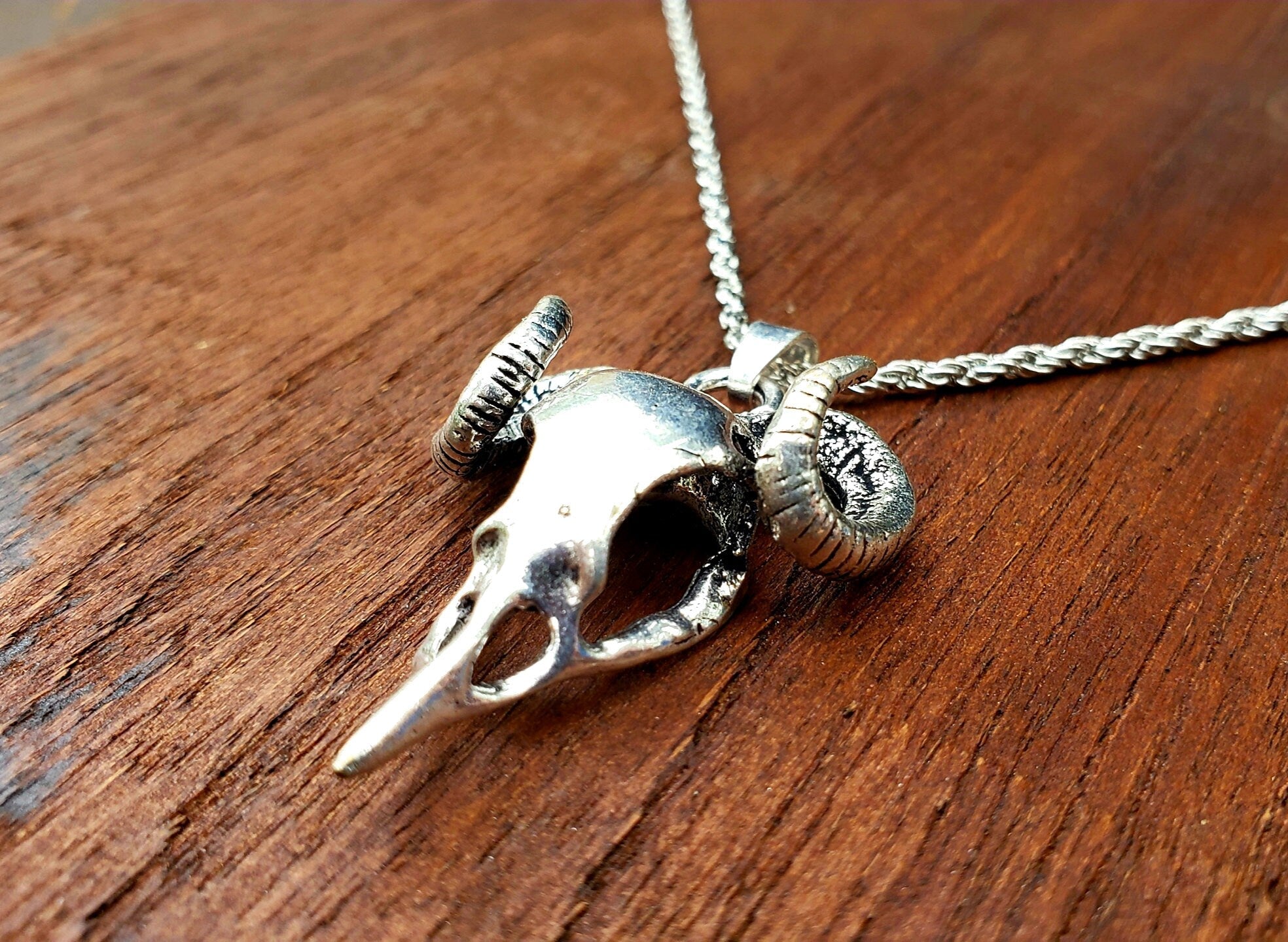 Mythical Silver Bird Skull with Horns Rustic Southwestern Pendant Necklace